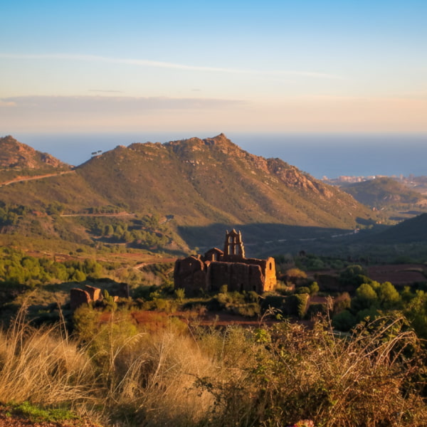 Las Palmas Desert View of the natural landscape